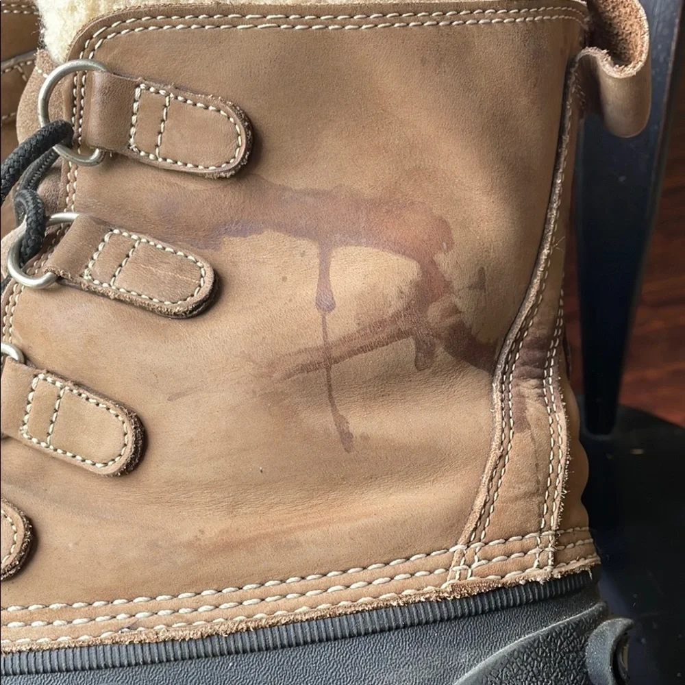 L.L. Bean bean duck